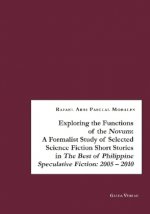 Exploring the Functions of the Novum