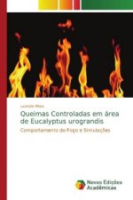 Queimas Controladas em area de Eucalyptus urograndis