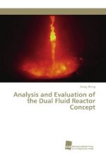 Analysis and Evaluation of the Dual Fluid Reactor Concept