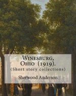 Winesburg, Ohio (1919). By: Sherwood Anderson (Short story collections): Sherwood Anderson (September 13, 1876 - March 8, 1941) was an American no