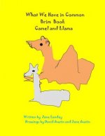 Camel and Llama: What We Have in Common Brim Book