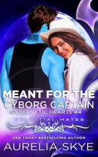 Meant For The Cyborg Captain