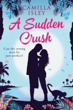 A Sudden Crush: A Romantic Comedy Large Print Edition
