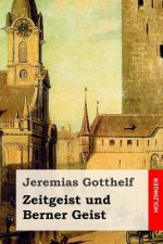 Zeitgeist und Berner Geist: Roman