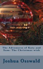 The Advenures of Katy and Sam: The Christmas wish