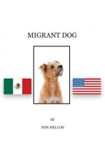 Migrant Dog