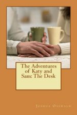 The Adventures of Katy and Sam: The Desk