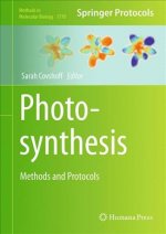 Photosynthesis