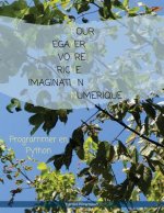 Pour egayer votre riche imagination numerique: Informatique et création numérique
