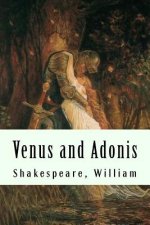 Venus and Adonis
