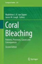 Coral Bleaching