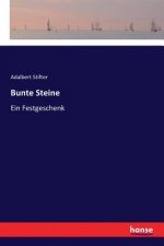 Bunte Steine