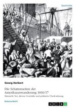 Die Schattenseiten der Amerikaauswanderung 1816/17. Materielle Not, diverse Geschäfte und politische Überforderung