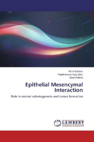 Epithelial Mesencymal Interaction