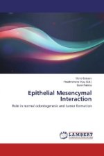 Epithelial Mesencymal Interaction