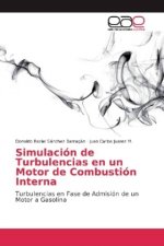 Simulacion de Turbulencias en un Motor de Combustion Interna