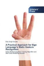 A Practical Approach for Sign Language's Static Gesture Recognition
