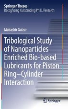 Tribological Study of Nanoparticles Enriched Bio-based Lubricants for Piston Ring-Cylinder Interaction