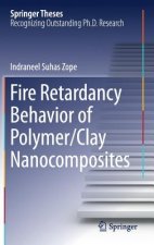 Fire Retardancy Behavior of Polymer/Clay Nanocomposites