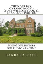 Thunder Bay, Ontario Book 3 (Fort William Book 1), in Colour Photos: Saving Our History One Photo at a Time