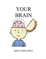 Your Brain