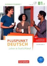 Pluspunkt Deutsch - Leben in Deutschland - Allgemeine Ausgabe - B1: Teilband 1. Tl.1