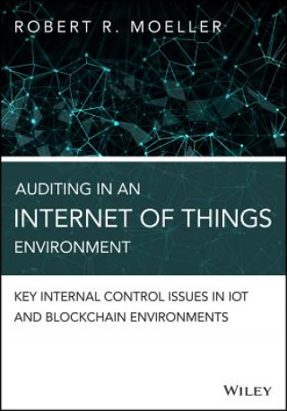 Auditing in an Internet of Things Environment