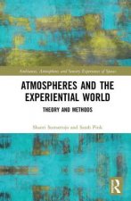 Atmospheres and the Experiential World