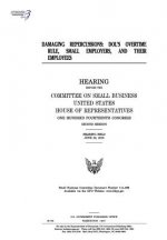 Damaging repercussions: DOL's overtime rule, small employers, and their employees