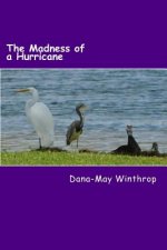 The Madness of a Hurricane