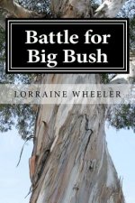 Battle for Big Bush