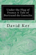 Under the Flag of France A Tale of Bertrand du Guesclin