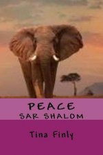 Peace: Sar Shalom