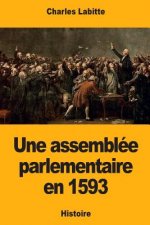 Une assemblée parlementaire en 1593