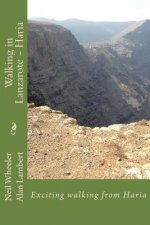 Walking in Lanzarote - Haria: Exciting walking from a Haria base