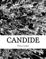 Candide