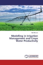 Modelling in Irrigation Management and Crops Water Productivity