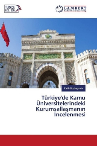Türkiye'de Kamu Üniversitelerindeki Kurumsallasmanin Incelenmesi
