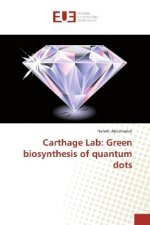 Carthage Lab