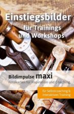 Bildimpulse maxi: Einstiegsbilder für Trainings und Workshops