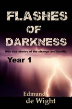 Flashes of Darknes - Year 1: Bite size stories of the strange and horrific
