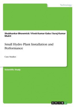 Small Hydro Plant Installation and Performance