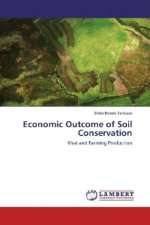 Economic Outcome of Soil Conservation