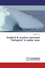 Seabird & marine mammal 
