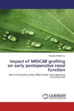 Impact of MIDCAB grafting on early postoperative renal function