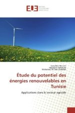 Étude du potentiel des énergies renouvelables en Tunisie