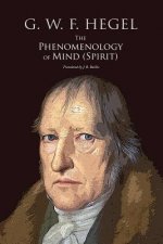 The Phenomenology of Mind (Spirit)