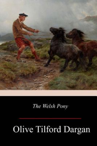 The Welsh Pony