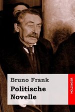Politische Novelle