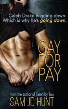 Gay for Pay